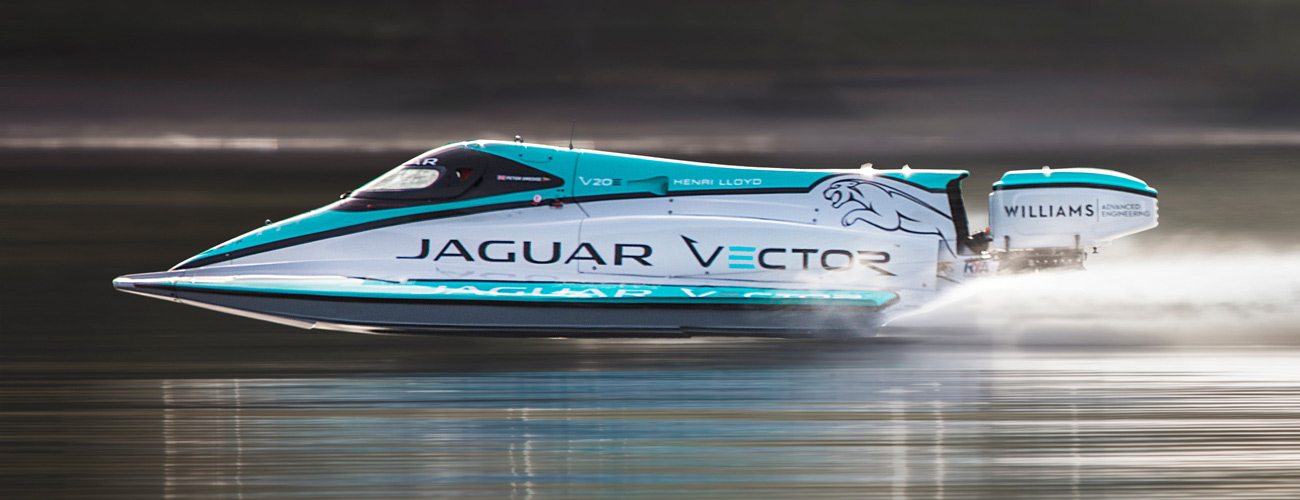 Jaguar Vector